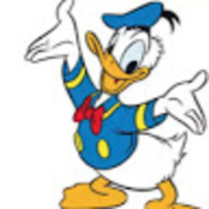 Meet your Posher, Callie